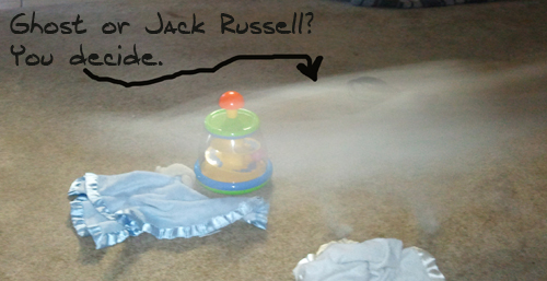 ghostorjack