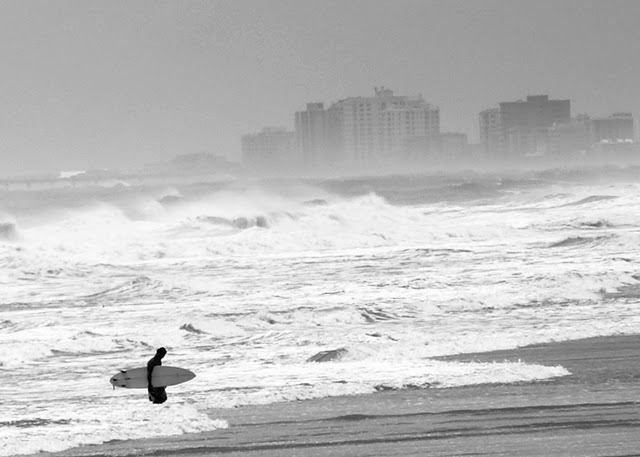 surfercity