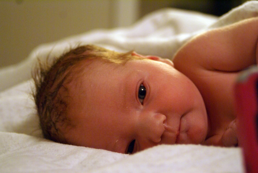 SONY DSC